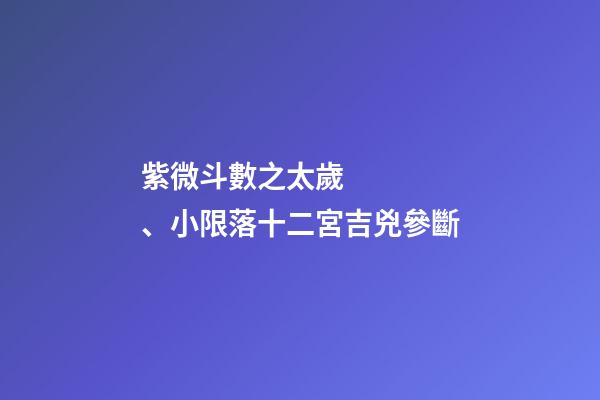 紫微斗數之太歲、小限落十二宮吉兇參斷